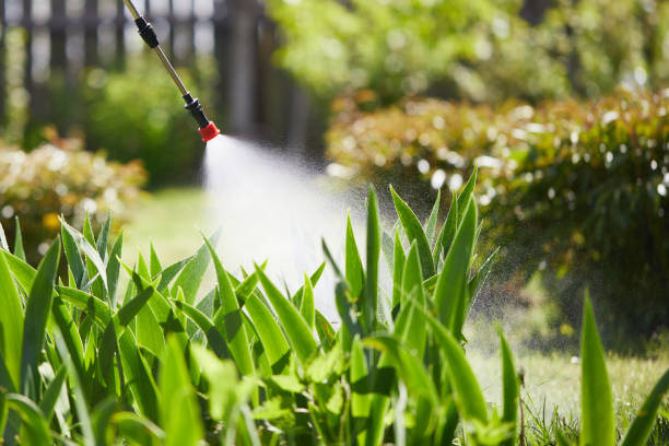 Tamper-Resistant Bait Stations for Rodents in Taylor